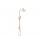 Bloom Shower Set Brushed Brass